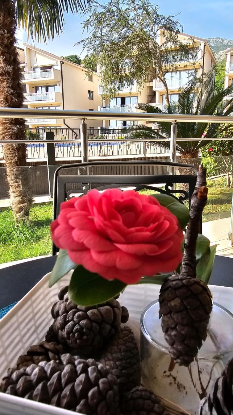 Nika Budva-przno Apartament